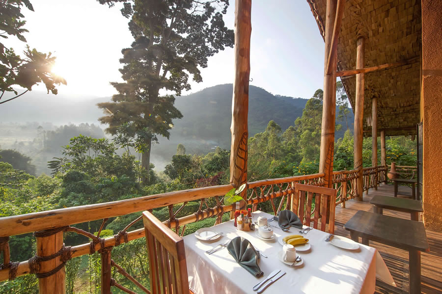 Mahogany Springs Veranda